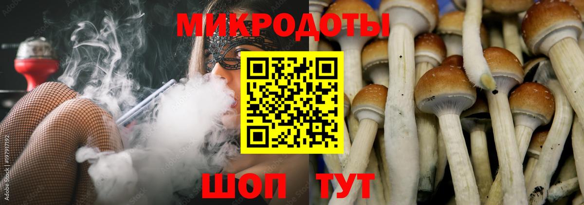 Сердобск  Псилоцибиновые грибы MAGIC MUSHROOMS  Вход с VPN  Псилоцибиновые грибы GOLDEN TEACHER 